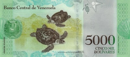 Венесуэла 5000 боливаров 2016 г. «Черепахи бисса» UNC