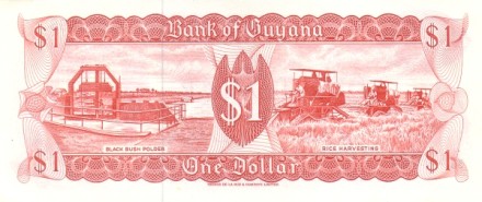 Гайана 1 доллар 1966-2012 г «Водопад Кайетюр на Картофельной реке» UNC