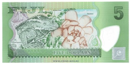 Фиджи 5 долларов 2012-2013 г. Красногорлый лори (кулавай) UNC Пластиковая