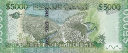 Гайана 5000 долларов 2011 UNC