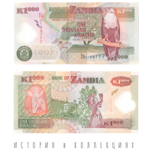 Замбия 1000 квача 2008  Африканский трубозуб  UNC  пластиковая купюра