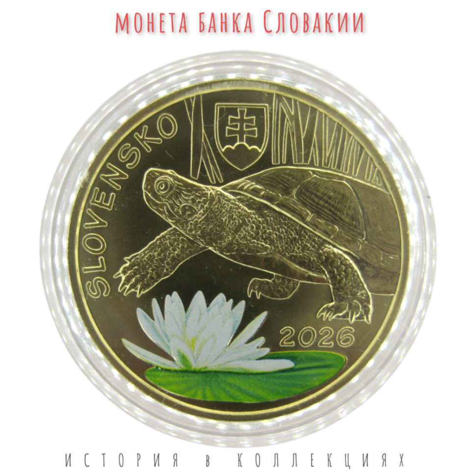 Словакия 5 евро 2026 Болотная черепаха BU Цветная монета