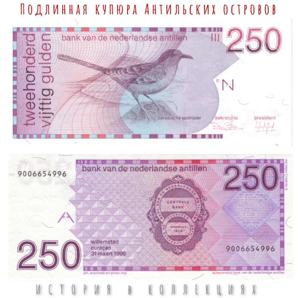Нидерландские Антильские острова 250 гульденов 1989 Карибский пересмешник UNC Редкая!
