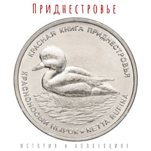Приднестровье 1 рубль 2023 Красноносый нырок UNC / коллекционная монета