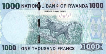Руанда 1000 франков 2015 г  Золотая обезьяна в парке вулканов Вирунга   UNC   