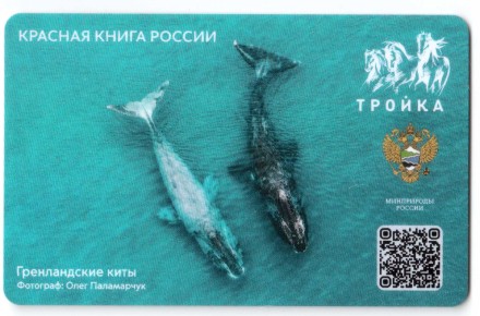 Карта Тройка / Гренландские киты – Красная книга России / 2023 г.