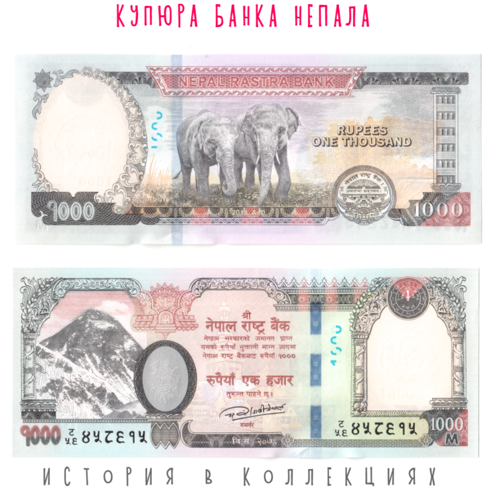Непал 1000 рупий 2019 Слоны UNC