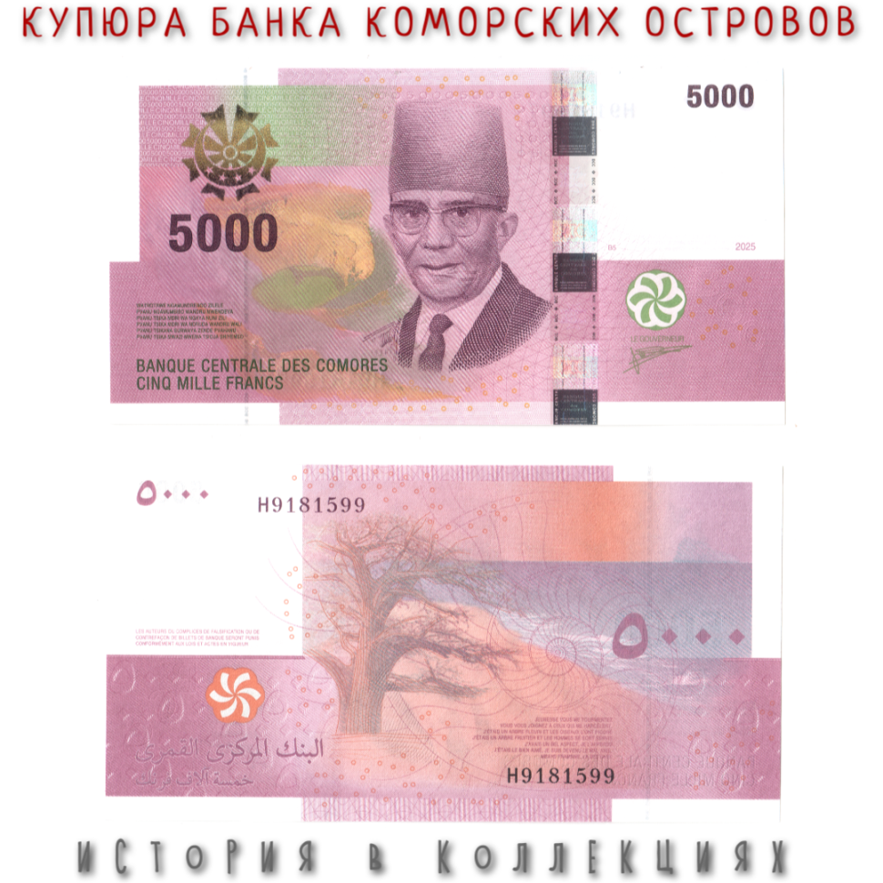 Коморские острова 5000 франков 2025 Саид Мохаммед Джохар UNC