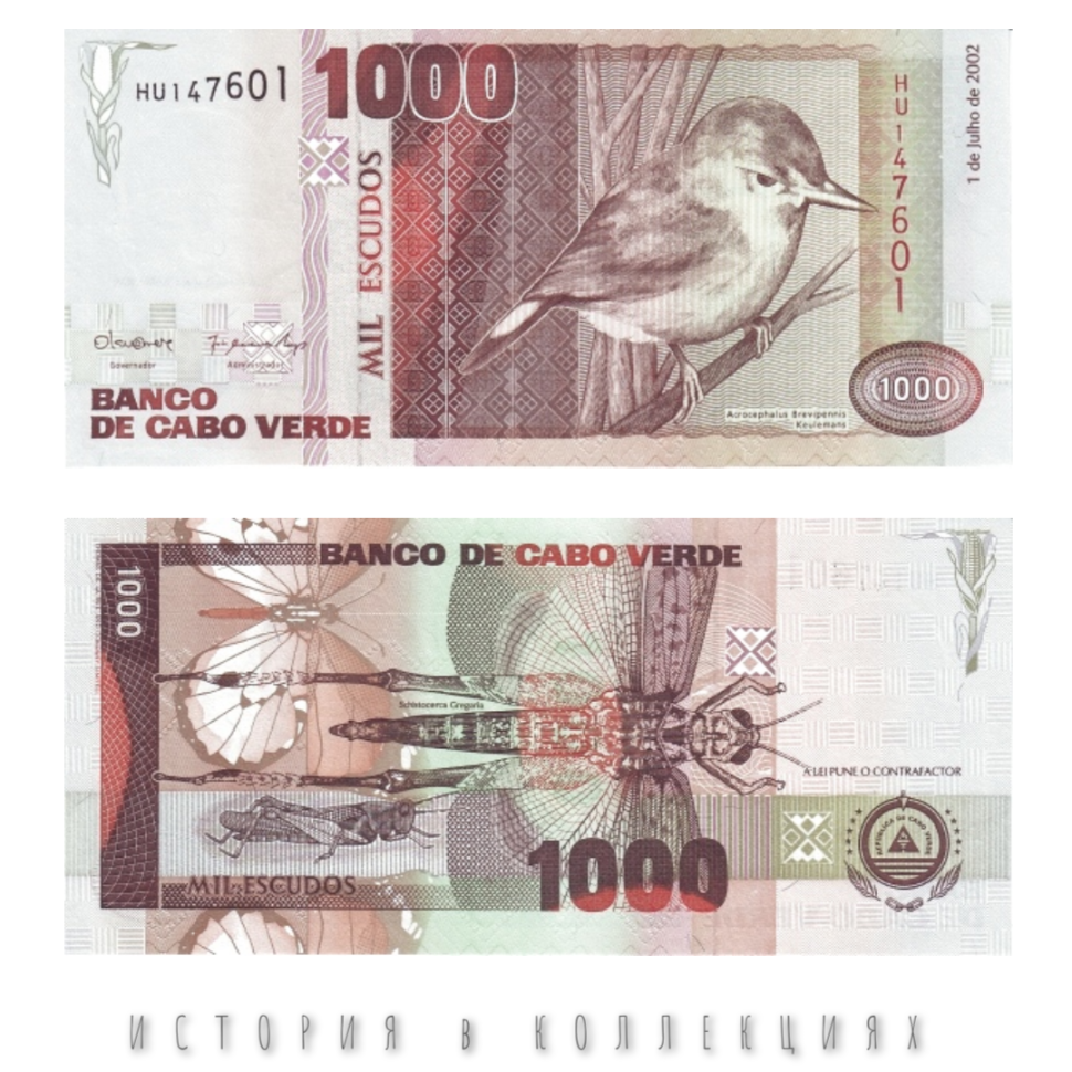 Кабо Верде 1000 эскудо 2002 Соловей UNC