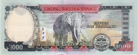 Непал 1000 рупий 2013 Слон UNC / коллекционная купюра