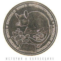 Приднестровье 1 рубль 2023 Соня лесная UNC / коллекционная монета 