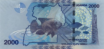 Уганда 2000 шиллингов 2010 г Рыбы UNC