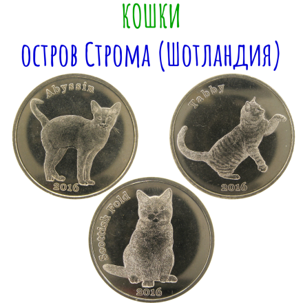 Остров Строма (Шотландия) Кошки Набор из 3 монет (1 фунт) 2016