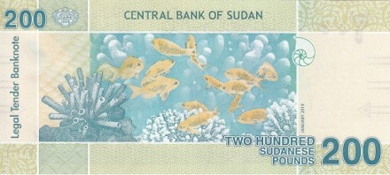 Судан 200 динаров 2019 Рыбы Красного моря UNC