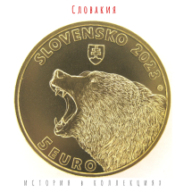 Словакия 5 евро 2023 Бурый медведь 