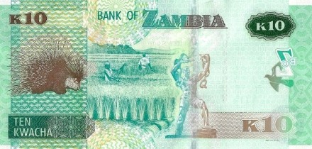 Замбия 10 квача 2020  Дикобраз   UNC    