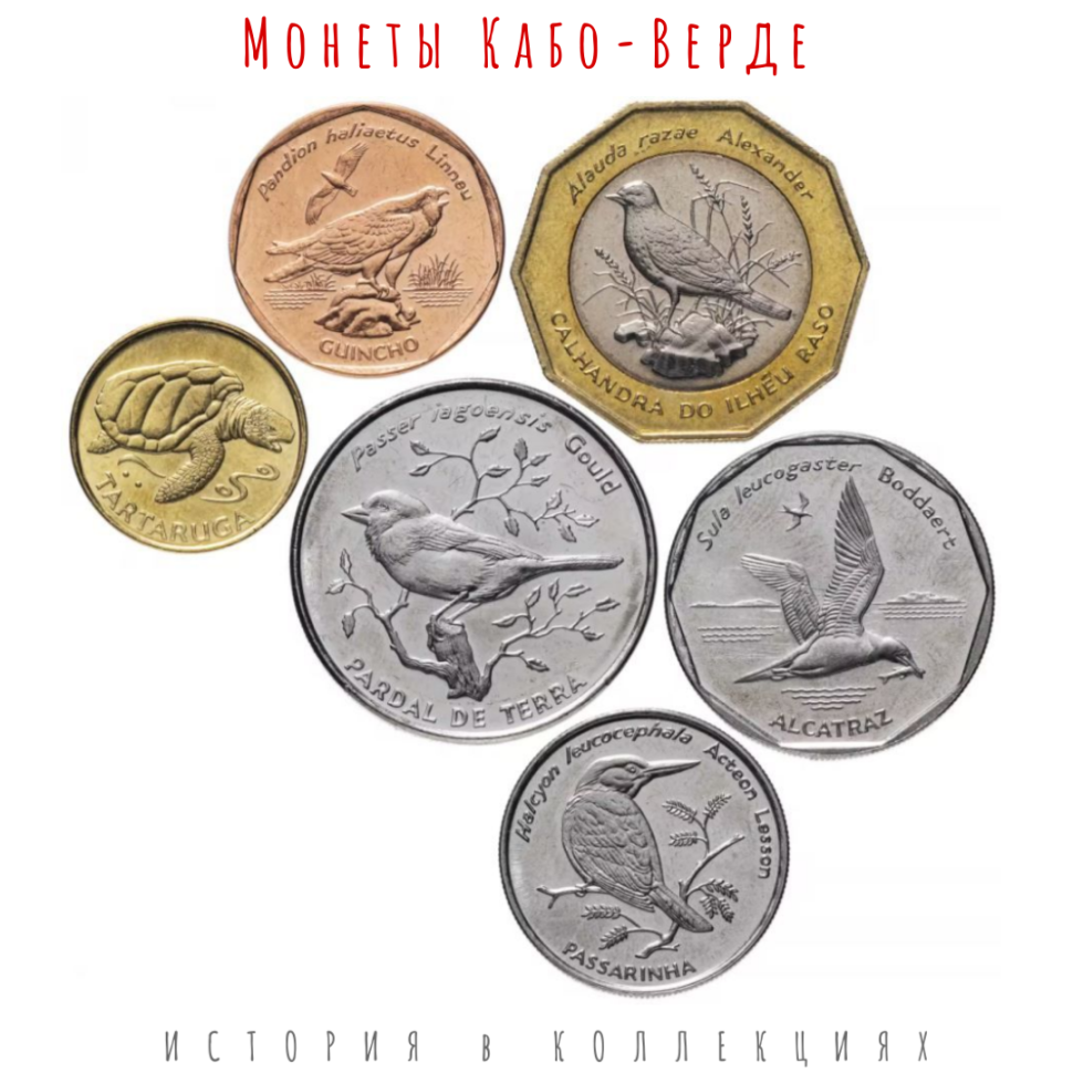 Кабо-Верде набор монет 1, 5, 10, 20, 50, 100 эскудо 1994  Птицы 