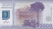 Чили 2000 песо 2012 г «Араукариас — биосферный резерват Чили»  Пластик UNC 