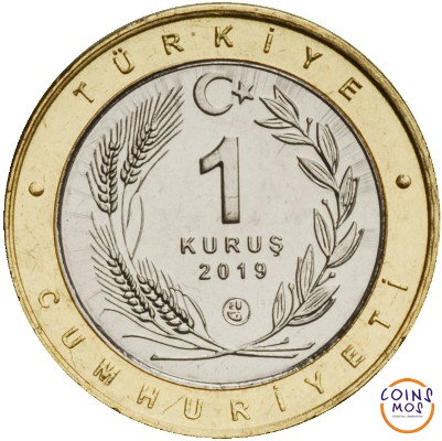 Турция «Птицы Анатолии» Набор из 24 монет (1 куруш 2019 г) Оба типа. Тираж: 15000 шт.
