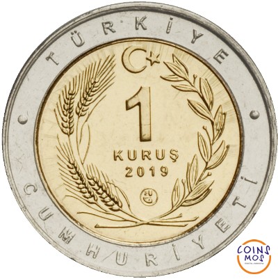 Турция «Птицы Анатолии» Набор из 24 монет (1 куруш 2019 г) Оба типа. Тираж: 15000 шт.