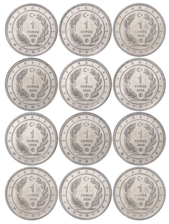 Турция Птицы Анатолии Набор из 12 монет (1 куруш 2020)