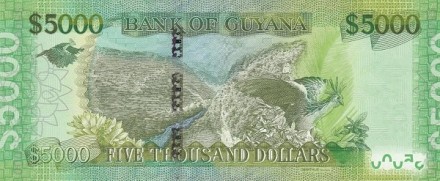 Гайана 5000 долларов 2018 природный ландшафт UNC