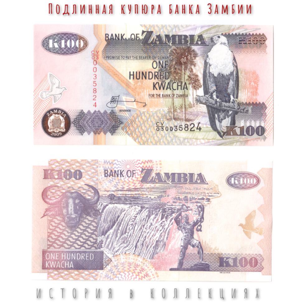 Замбия 100 квача 2009 Африканский рыбный орел UNC