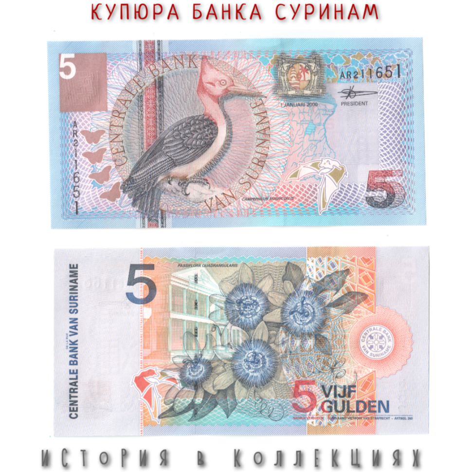 Суринам 5 гульденов 2000 «Красноголовый дятел» UNC