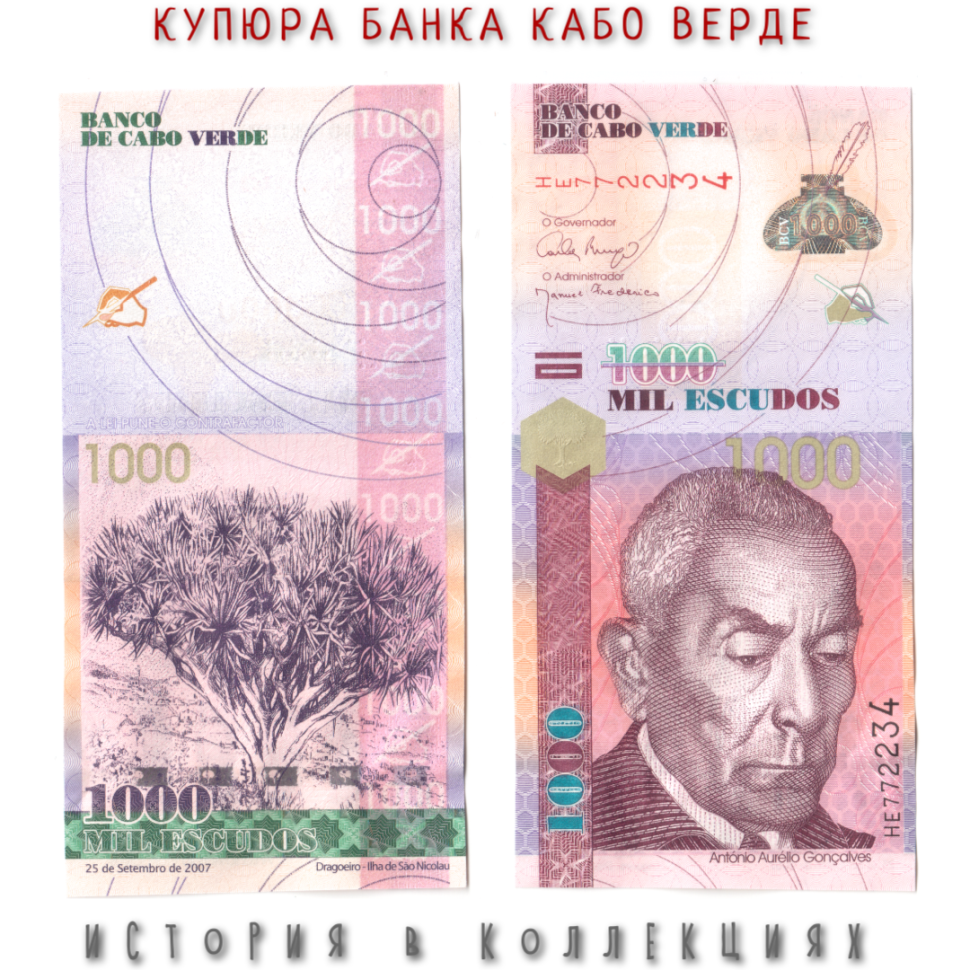 Кабо Верде 1000 эскудо 2007 Драконовое дерево на острове Сан Николас UNC