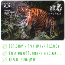 Транспортная карта Тройка 2022 Центр Амурский тигр