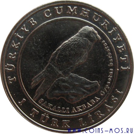 Турция 1 лира 2009 г «Орел-могильник» Достаточно редкая! Первая монета серии      