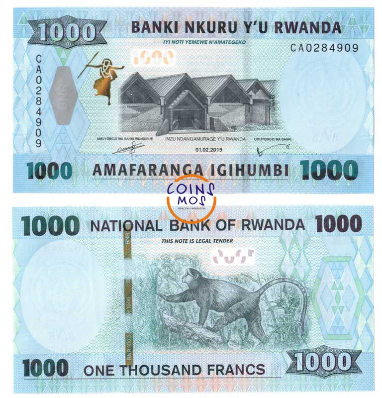 Руанда 1000 франков 2019 Обезьяна в парке вулканов Вирунга UNC