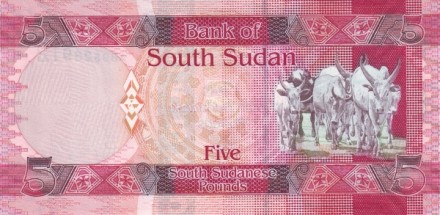 Судан южный 5 фунтов 2011 г Стадо Коров UNC