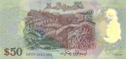 Бруней 50 ринггит 2004 г. Султан Хассанал Болкиах I полимер UNC