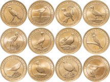 Турция Птицы Анатолии Набор из 12 монет (1 куруш 2021) 