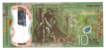 Коста Рика 10000 колун 2019 /Трехпалый ленивец UNC /Пластиковая   