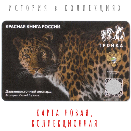 Тройка Дальневосточный леопард. Животные красной книги / Тираж: 1750 шт. / Коллекционная карта