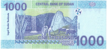 Судан банкнота 1000 фунтов 2019 г. UNC