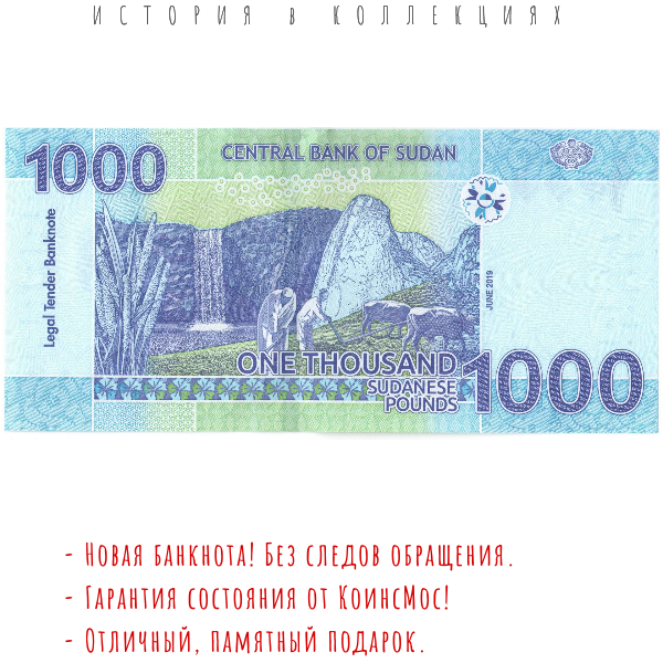Судан банкнота 1000 фунтов 2019 г. UNC