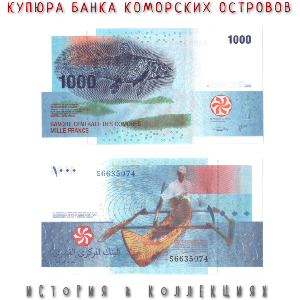 Коморские острова 1000 франков 2005 Рыба латимерия UNC